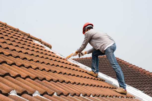 Waterproofing in Elmwood Place, OH